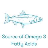 omega 3 fatty acids food | Natures Catch